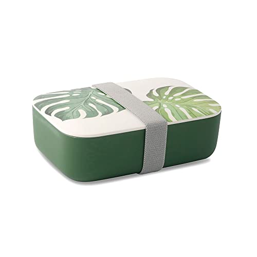 GREENBOX PLA Brotdose Pausen-Box Blätter I Brotzeit-Dose mit Deckel I Lunchbox umweltfreundlich I Jausendose Dekobox I Essenbehälter für unterwegs I Kindergarten Vesperbox 18,8 x 12,5 x 6.3 cm von GREENBOX