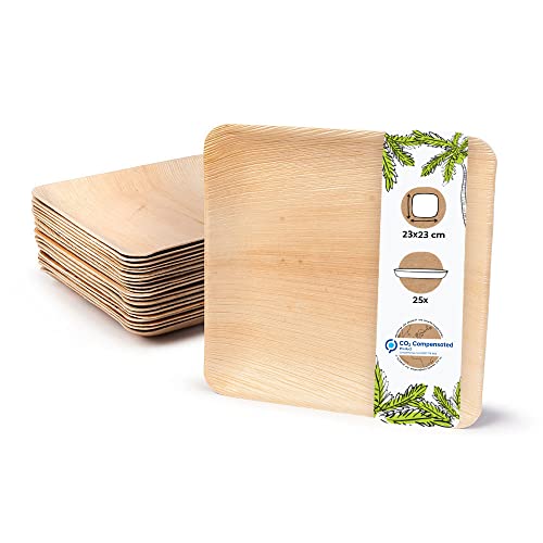 GREENBOX Palmware Hochwertiges Palmblattgeschirr I 25 Stück Palmblatt Teller rechteckig 23 x 23 cm I Bio Einweggeschirr biologisch abbaubar Partygeschirr Einmalgeschirr Wegwerfgeschirr von GREENBOX