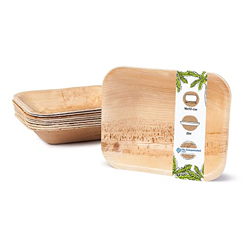 GREENBOX Palmware - hochwertige Einweg Suppenteller tief rechteckig I 16 x 13 cm 25 Stück Snackschale Palmblattgeschirr Pastateller Salatschale I kompostierbares Einweggeschirr biologisch abbaubar von GREENBOX