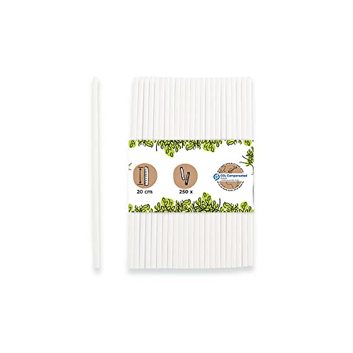 GREENBOX Papier Trinkhalme 20 cm Strohhalm 5 mm Ø I Trinkhalm biologisch abbaubar I weisse Strohhalme vertikal gerollt I Party Trinkhalme für Cocktails I Papierstrohhalme 250 Stück GREENBOX Papier Trinkhalme 20 cm Strohhalm 5 mm Ø I Trinkhalm biologisch abbaubar I weisse Strohhalme vertikal gerollt I Party Trinkhalme für Cocktails I Papierstrohhalme 250 Stück von GREENBOX