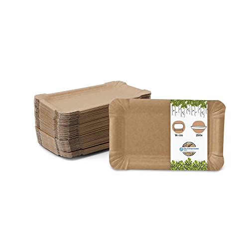 GREENBOX Take Away braune Pappteller 10 x 16 cm I Pappteller aus Duplex-Karton I Einwegteller fettbeständig I recycelbar und biologisch abbaubar I 250 Stück von GREENBOX
