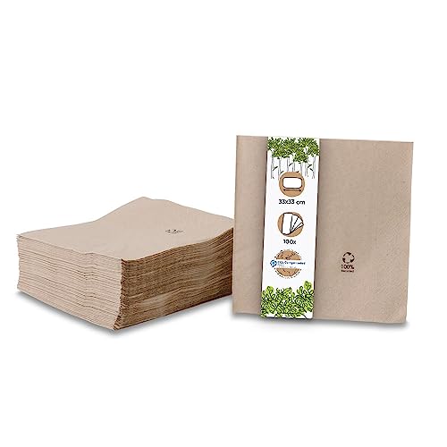 GREENBOX Umweltfreundliche Bio Servietten aus Recyclingpapier I Hochwertige Papierservietten 33 x 33 cm I 100 Stück Cocktailservietten ungebleicht, biologisch abbaubar, kompostierbar, braun von GREENBOX