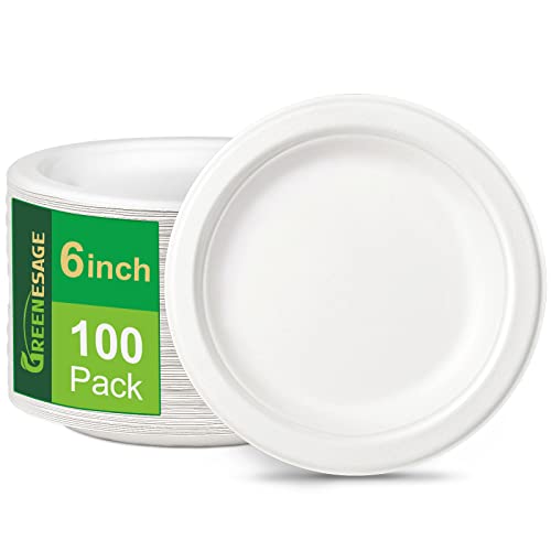 GREENESAGE Einwegteller 100 Stück Pappteller 15CM Weiß Rund Einweggeschirr klein Partyteller Zuckerrohr Einweg Geschirr Einmalteller Biologisch Abbaubares von GREENESAGE