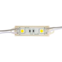 Modul 0,48W 45Lm 2 LEDs SMD5050 40.000H [US-LMP5050W2-0003] von GREENICE