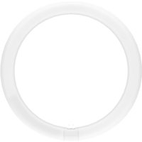 T9 Ledvance G10q LED-Röhre 18,3W 2000Lm 3000K 110º IP20 T9 Ledvance G10q LED-Röhre 18,3W 2000Lm 3000K 110º IP20 von LEDVANCE