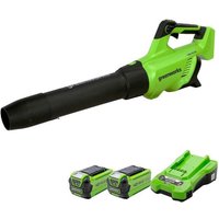 Blasgerät 210 km/h 40V Brushless GREENWORKS - 2 Batterien 2,0Ah - Ladegerät - GD40ABIIK2X Blasgerät 210 km/h 40V Brushless GREENWORKS - 2 Batterien 2,0Ah - Ladegerät - GD40ABIIK2X von GREENWORKS