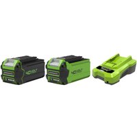 Pack GREENWORKS 40V - 2 Akkus 4.0Ah und 2.0Ah Lithium-Ion - 1 Ladegerät Pack GREENWORKS 40V - 2 Akkus 4.0Ah und 2.0Ah Lithium-Ion - 1 Ladegerät von GREENWORKS
