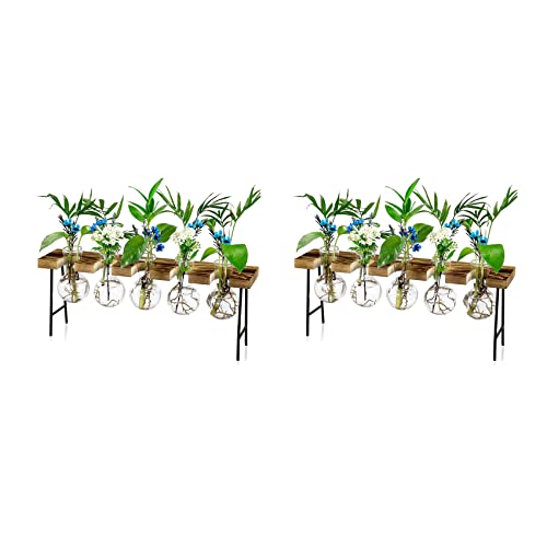 GREOHNMPAW 2X Vermehrungsstationen Desktop-Luftpflanzen-Terrarium, Glas-Pflanzgefäß, Glasvase mit Holzständer - Pflanzenterrarium GREOHNMPAW 2X Vermehrungsstationen Desktop-Luftpflanzen-Terrarium, Glas-Pflanzgefäß, Glasvase mit Holzständer - Pflanzenterrarium von GREOHNMPAW