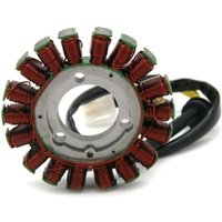 31401-01H00 Statorspule für GSXR GSX-R 600 750 GSX-R600 GSX-R750 2006-2022 31401-01H10 31401-01H20 31401-01H00 Statorspule für GSXR GSX-R 600 750 GSX-R600 GSX-R750 2006-2022 31401-01H10 31401-01H20 von GRID COOL