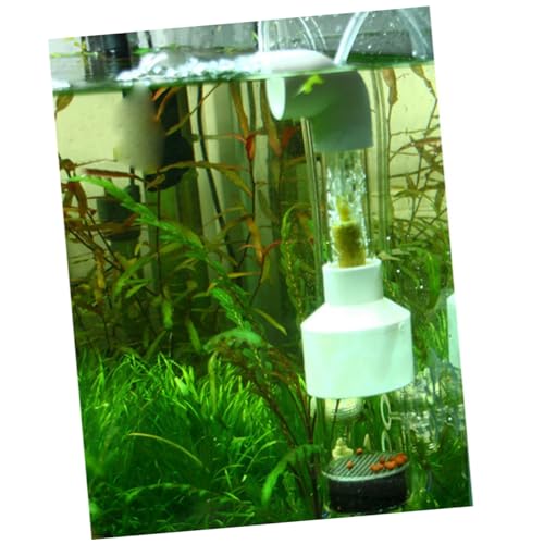 GRIRIW Plastik Egg Tumbler Fischbrut Inkubator für Aquarium Laichbecken zur Sicheren Aufzucht Mouth Brooding Cichlids mit Frischwasserzirkulation GRIRIW Plastik Egg Tumbler Fischbrut Inkubator für Aquarium Laichbecken zur Sicheren Aufzucht Mouth Brooding Cichlids mit Frischwasserzirkulation von GRIRIW