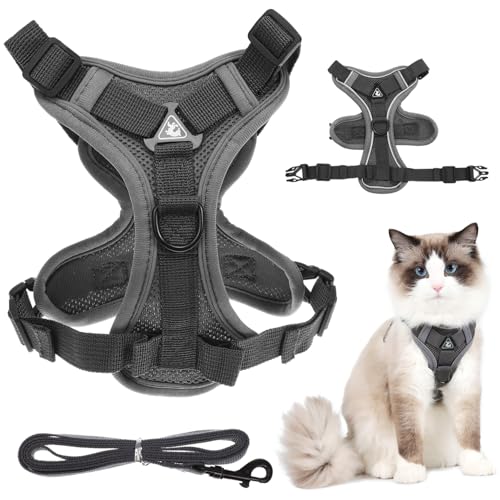 GRIRIW Reflektierendes Kleines Hundegeschirr mit Atmungsaktivem Mesh Elastischem Brustgeschirr für Welpen und Katzen Sicheres Weste Hundegeschirr Bequemes Haustierzubehör für von GRIRIW