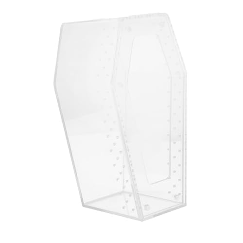 GRIRIW Transparente Reptilien Aufzuchtbox mit Deckel Stabiler Terrarium Behälter für Kleine Haustiere Schnecken und Spinnen Kompakt und für Schreibtisch und Regal von GRIRIW