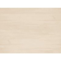 Kunststoffpaneele Element Compact 120 x 37,5 cm 8 mm Holz beige Kunststoffpaneele - Grosfillex von GROSFILLEX
