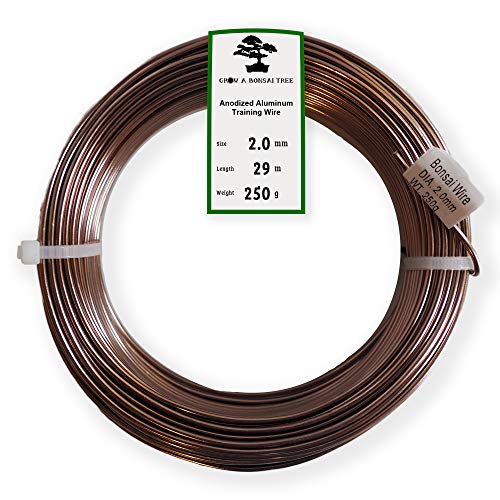 Grow A Bonsai Tree Eloxiertes Aluminium 2,0mm Bonsai Draht 250g große Rolle (95 Feet) - (2,0mm, Braun) von Grow A Bonsai Tree