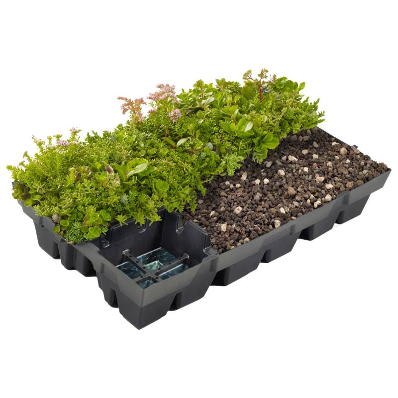 Dachbegrünung Plantile 5 m² - 11 m² Dachbegrünung Plantile 5 m² - 11 m² von GROW by OBI