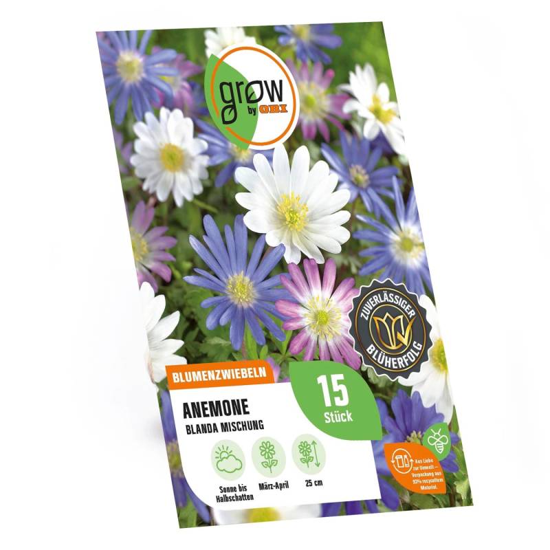 GROW by OBI Anemonen blanda Mischung 15 Stück Anemonen blanda Mixed GROW by OBI Anemonen blanda Mischung 15 Stück Anemonen blanda Mixed von GROW by OBI