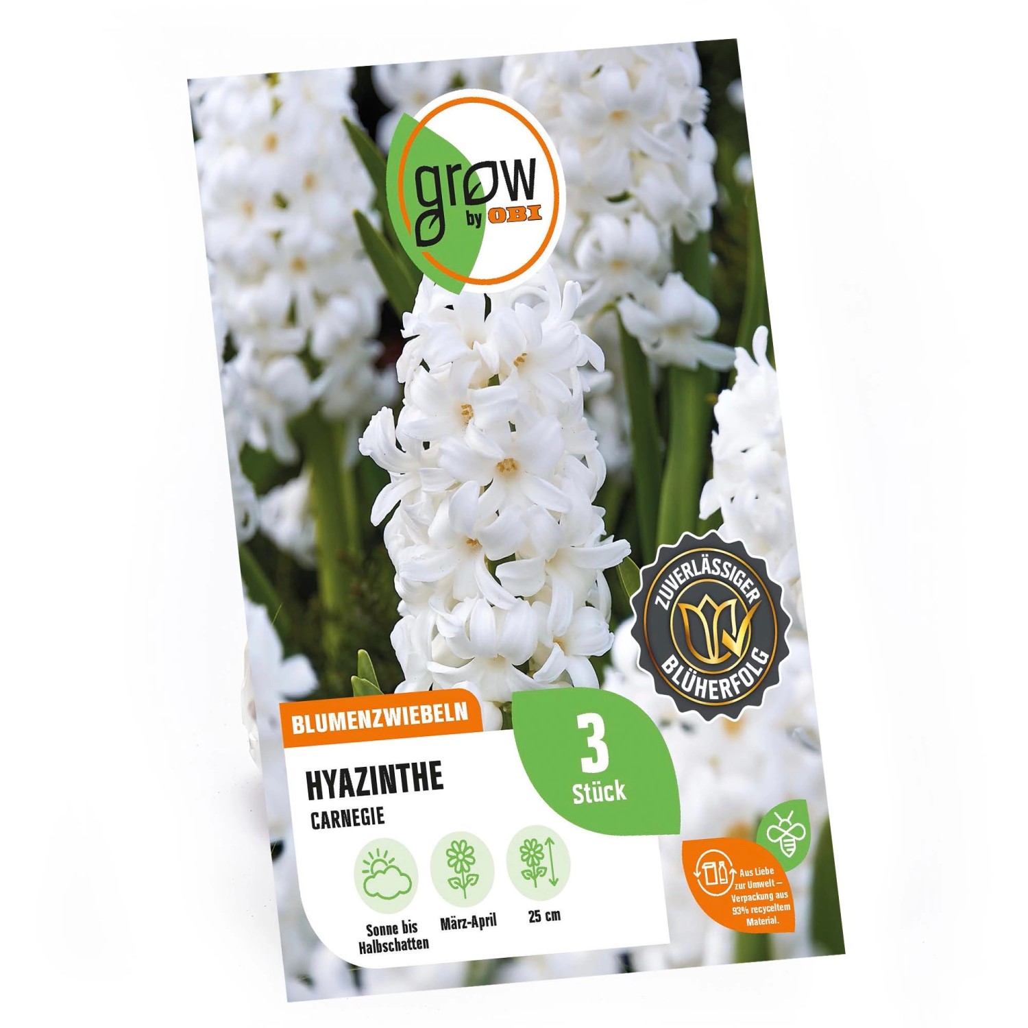 GROW by OBI Hyazinthe Carnegie Weiß 3 Stück Hyacinthus orientalis Carnegie von GROW by OBI