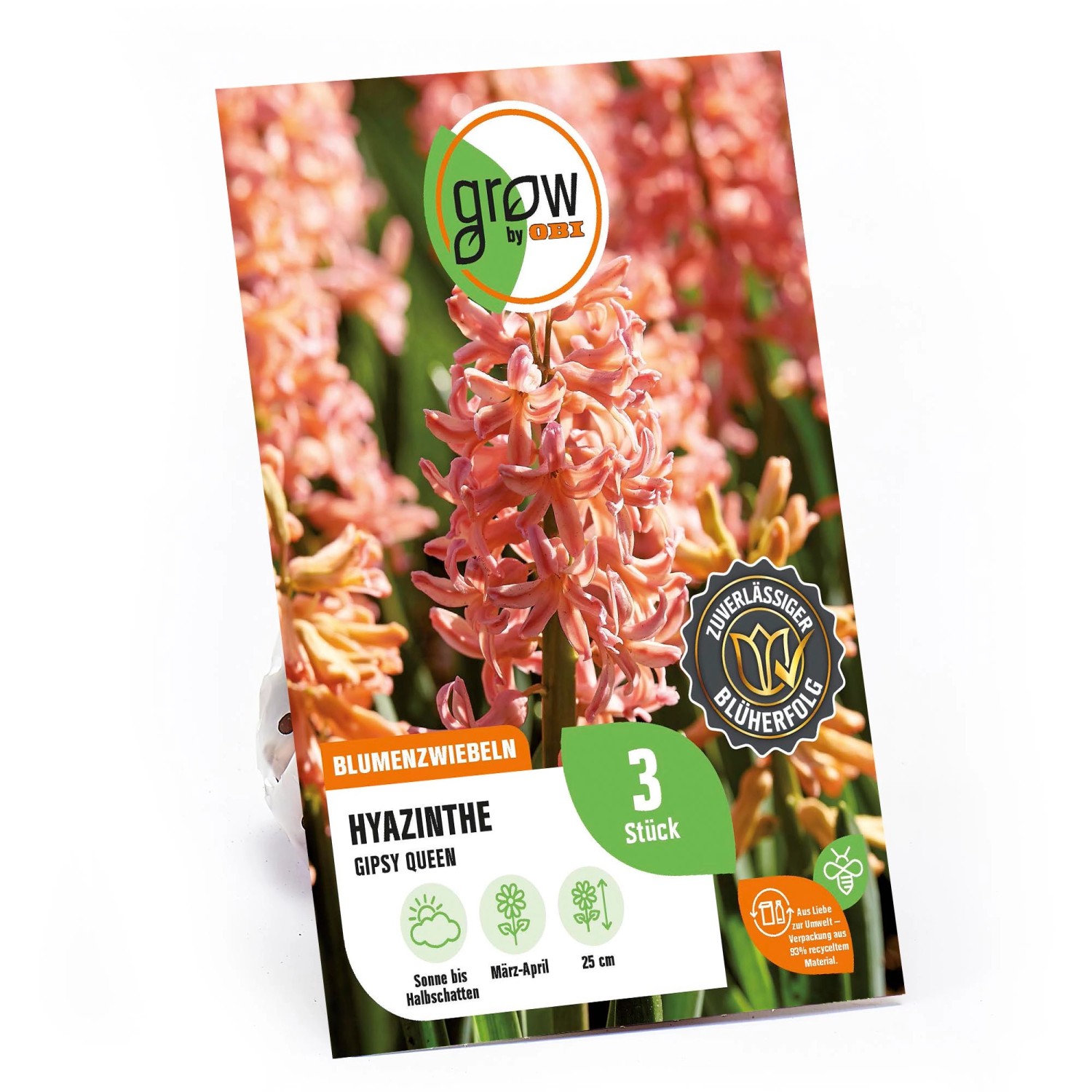 GROW by OBI Hyazinthe Gipsy Queen Orange 3 Stück Hyacinthus orientalis GROW by OBI Hyazinthe Gipsy Queen Orange 3 Stück Hyacinthus orientalis von GROW by OBI
