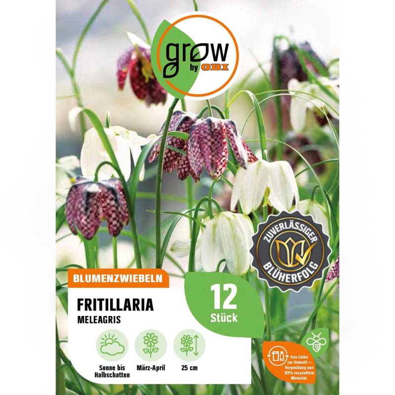 GROW by OBI Kaiserkrone meleagris Mischung 12 Stück Fritillaria meleagris von GROW by OBI