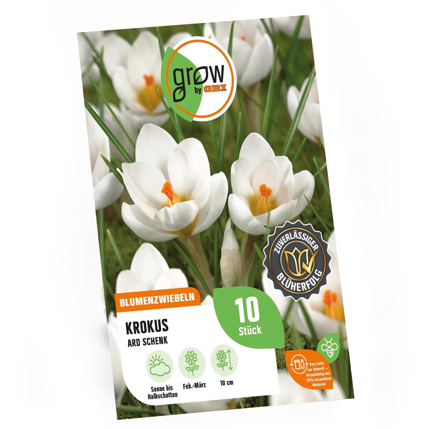 GROW by OBI Krokus Ard Schenk Weiß 8 Stück Crocus chrysanthus Ard Schenk GROW by OBI Krokus Ard Schenk Weiß 8 Stück Crocus chrysanthus Ard Schenk von GROW by OBI