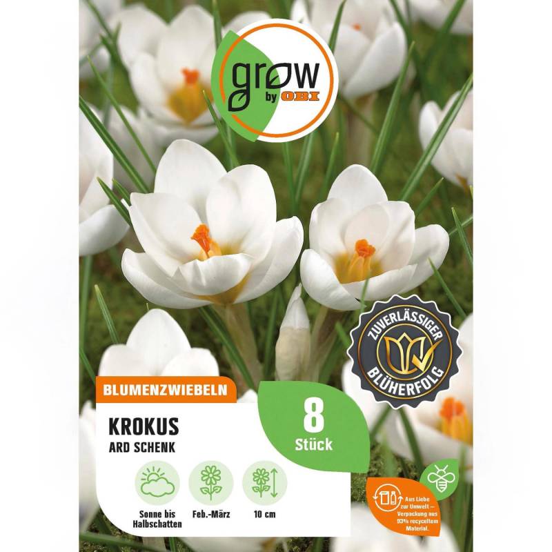 GROW by OBI Krokus Ard Schenk Weiß 8 Stück Crocus chrysanthus Ard Schenk von GROW by OBI