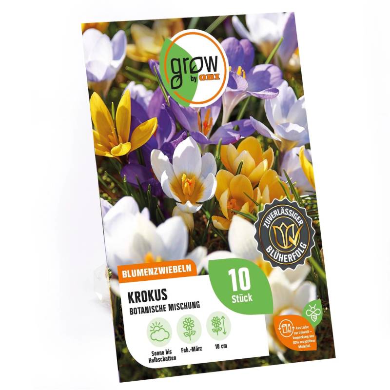 GROW by OBI Krokus Botanische Mischung 8 Stück Crocus botanical Mixed von GROW by OBI