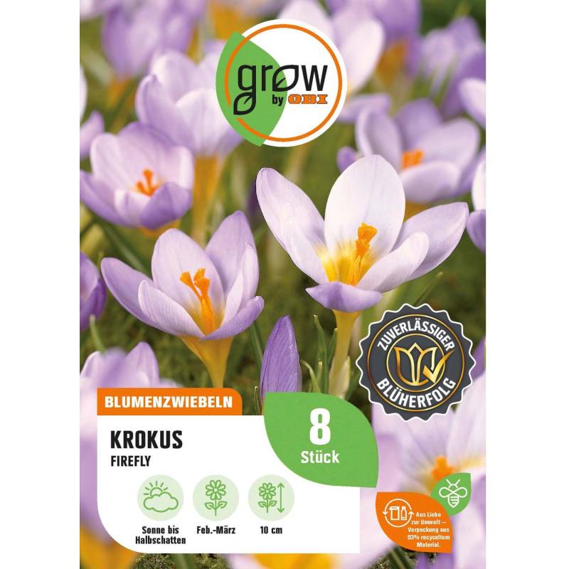 GROW by OBI Krokus Firefly Blau-Rosa 8 Stück Crocus sieberi Firefly von GROW by OBI