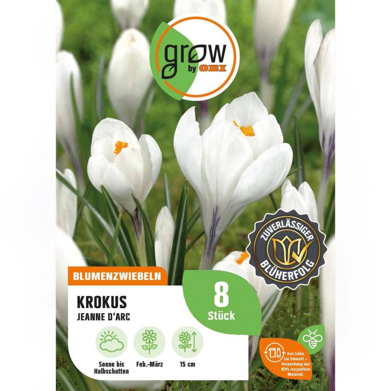 GROW by OBI Krokus Jeanne d'Arc Weiß 8 Stück Crocus vernus Jeanne d'Arc von GROW by OBI