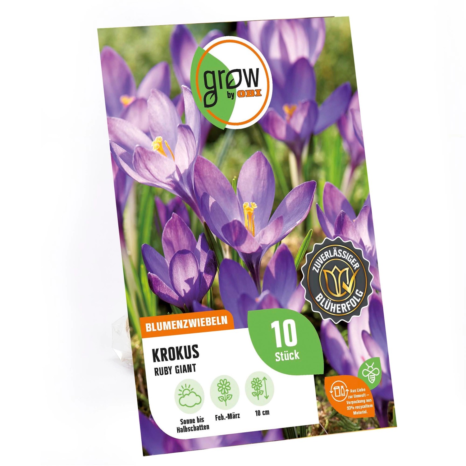 GROW by OBI Krokus Ruby Giant Blau 8 Stück Crocus tommasinianus Ruby Giant GROW by OBI Krokus Ruby Giant Blau 8 Stück Crocus tommasinianus Ruby Giant von GROW by OBI