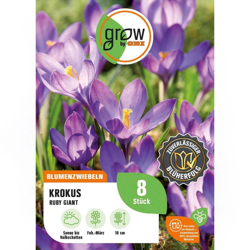 GROW by OBI Krokus Ruby Giant Blau 8 Stück Crocus tommasinianus Ruby Giant von GROW by OBI