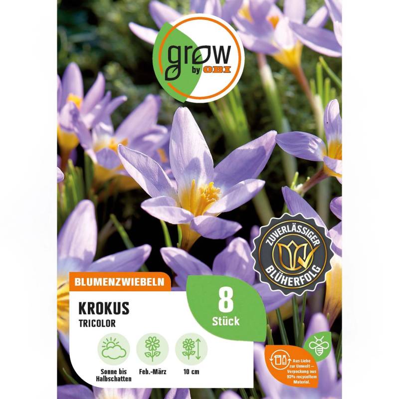 GROW by OBI Krokus Tricolor Lila-Beige 8 Stück Crocus sieberi Tricolor von GROW by OBI