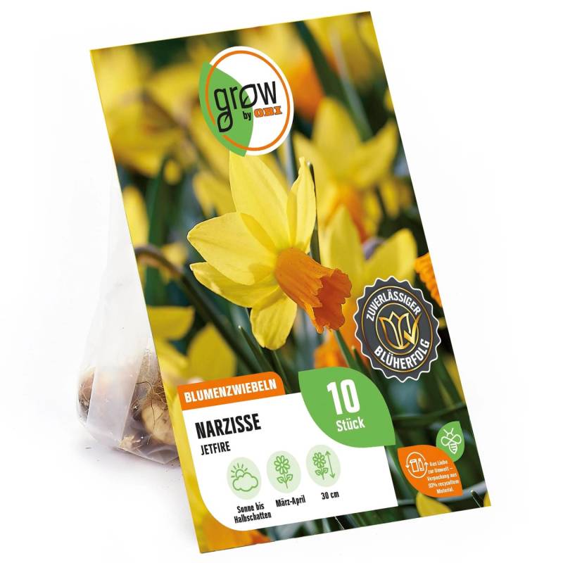 GROW by OBI Narcisse Jetfire Orange-Gelb 10 Stück Narcissus cyclamineus Jetfire von GROW by OBI