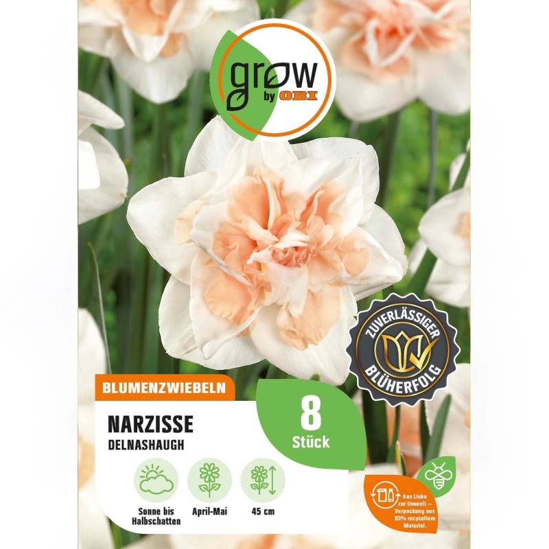 GROW by OBI Narzisse Delnashaugh 8 Stück Narcissus double Delnashaugh von GROW by OBI