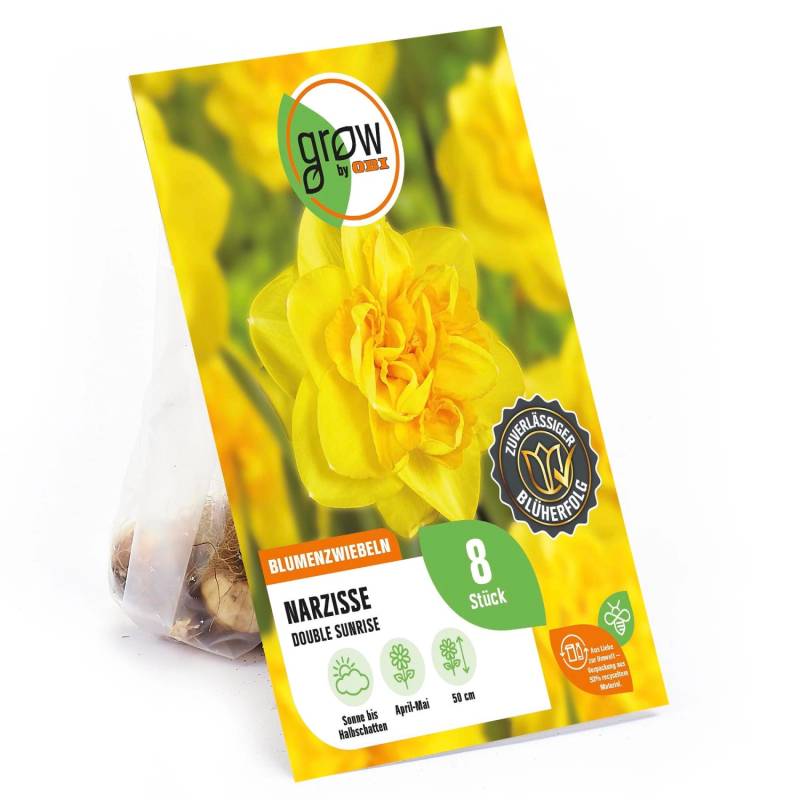 GROW by OBI Narzisse Double Sunrise 8 Stück Narcissus double Double Sunrise von GROW by OBI