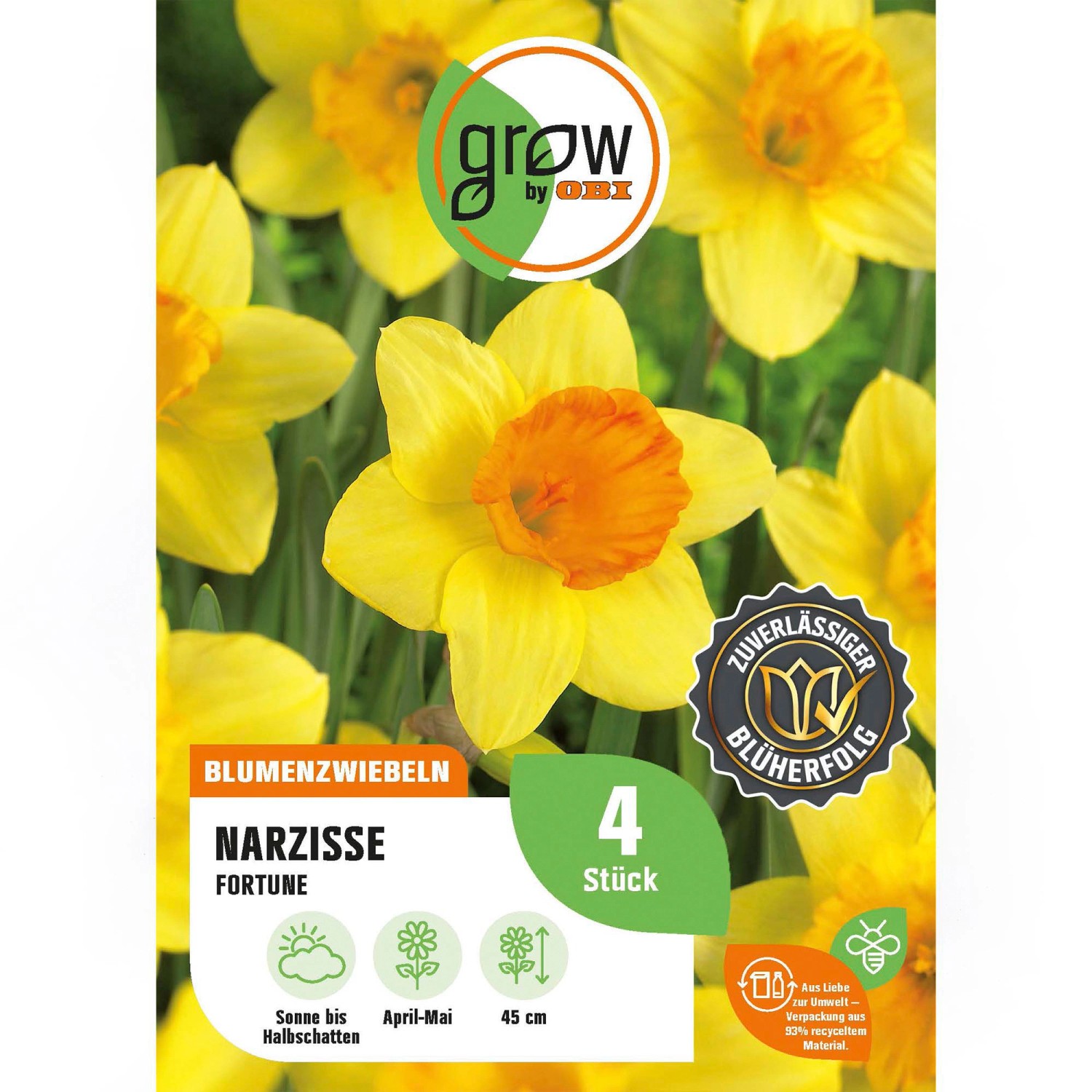 GROW by OBI Narzisse Fortune Gelb 4 Stück Narcissus large cupped Fortune GROW by OBI Narzisse Fortune Gelb 4 Stück Narcissus large cupped Fortune von GROW by OBI
