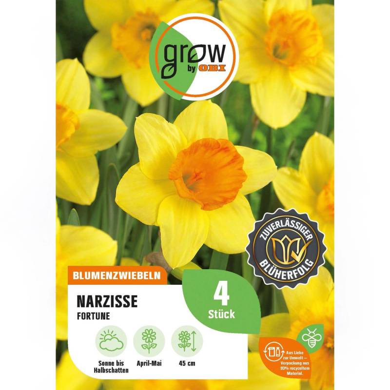 GROW by OBI Narzisse Fortune Gelb 4 Stück Narcissus large cupped Fortune von GROW by OBI