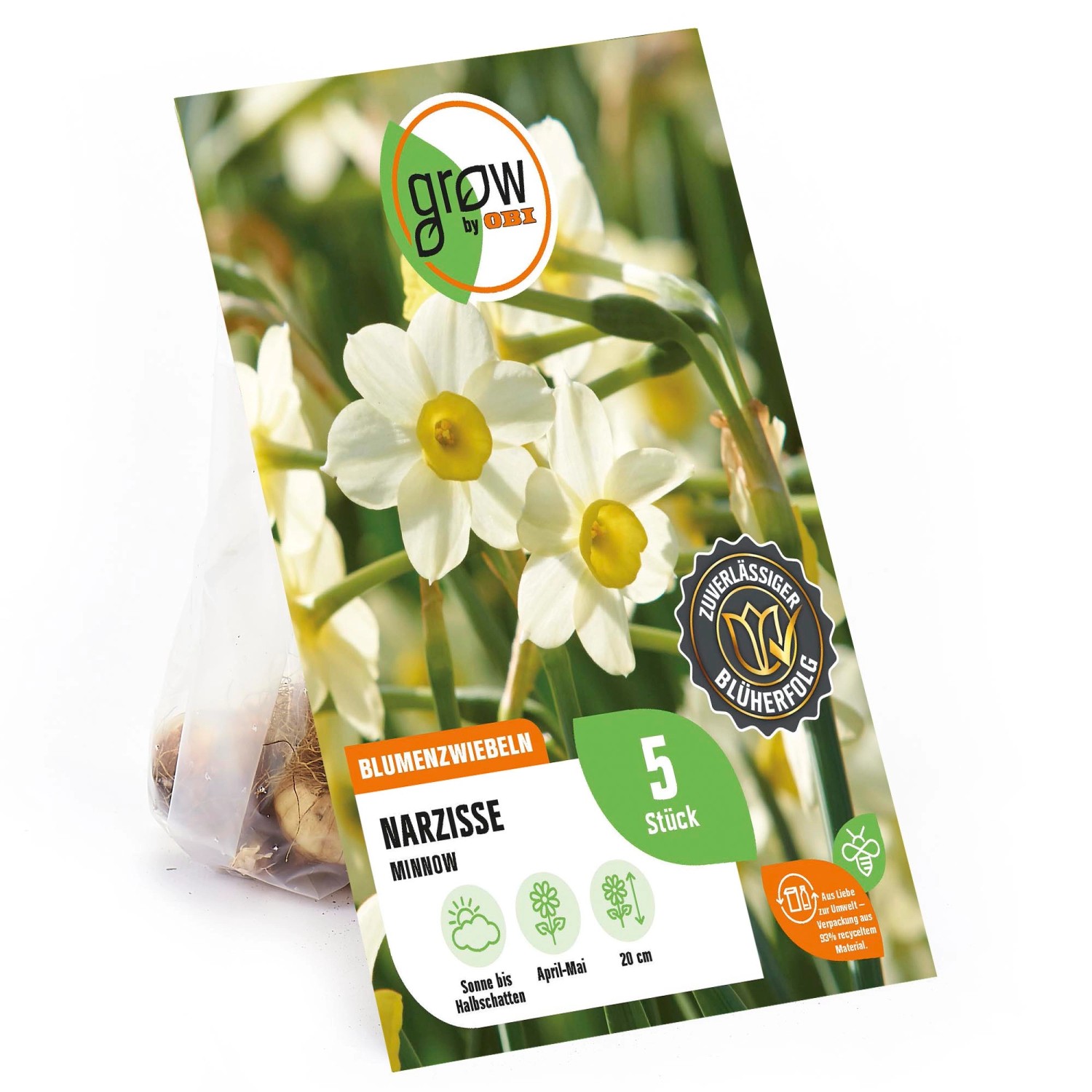 GROW by OBI Narzisse Minnow Gelb-Weiß 5 Stück Narcissus tazetta Minnow GROW by OBI Narzisse Minnow Gelb-Weiß 5 Stück Narcissus tazetta Minnow von GROW by OBI