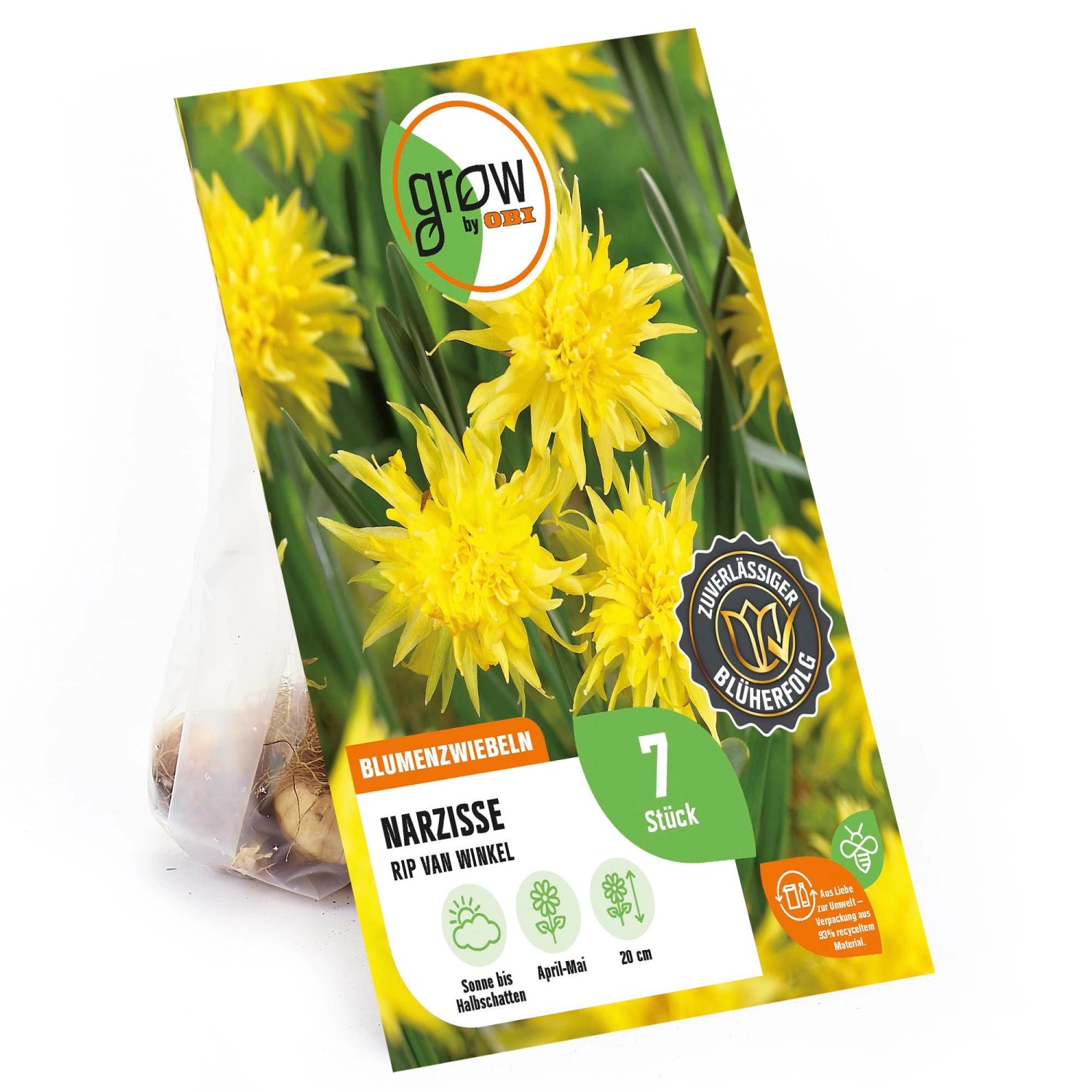 GROW by OBI Narzisse Rip van Winkel Gelb 7 St.Narcissus double Rip van Winkle GROW by OBI Narzisse Rip van Winkel Gelb 7 St.Narcissus double Rip van Winkle von GROW by OBI
