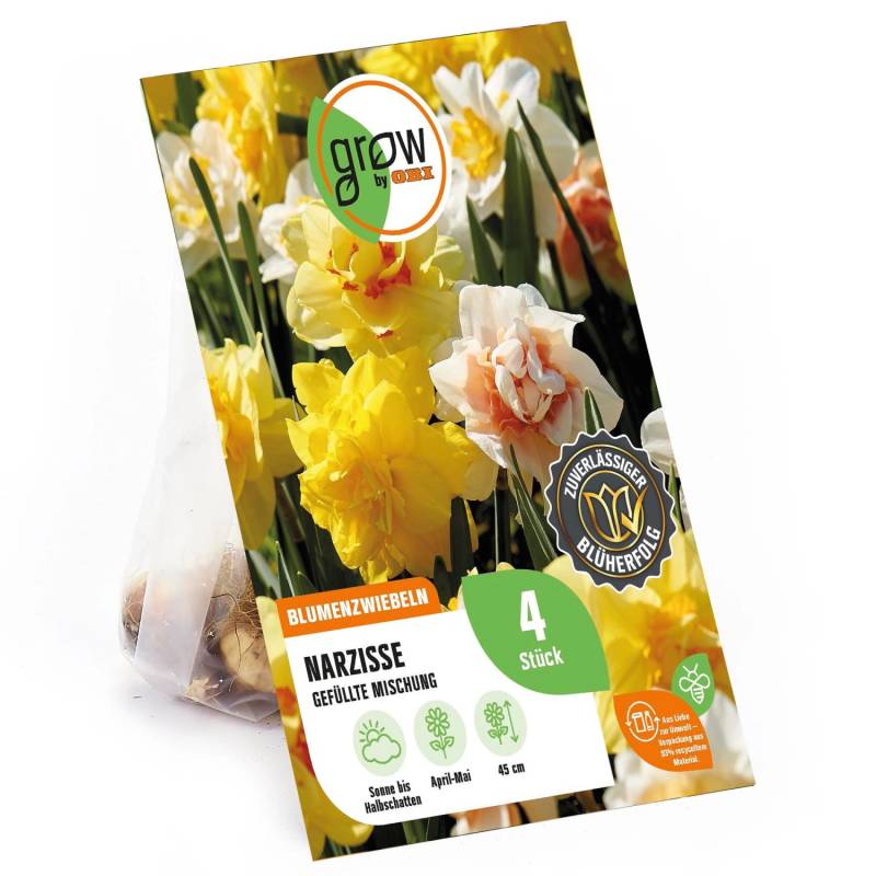 GROW by OBI Narzissen Gefüllte Mischung 4 Stück Narcissus double Mixed GROW by OBI Narzissen Gefüllte Mischung 4 Stück Narcissus double Mixed von GROW by OBI