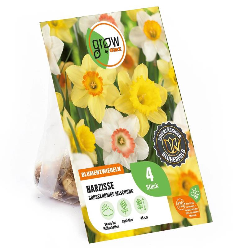 GROW by OBI Narzissen Mischung 4 Stück Narcissus large cupped Mixed GROW by OBI Narzissen Mischung 4 Stück Narcissus large cupped Mixed von GROW by OBI