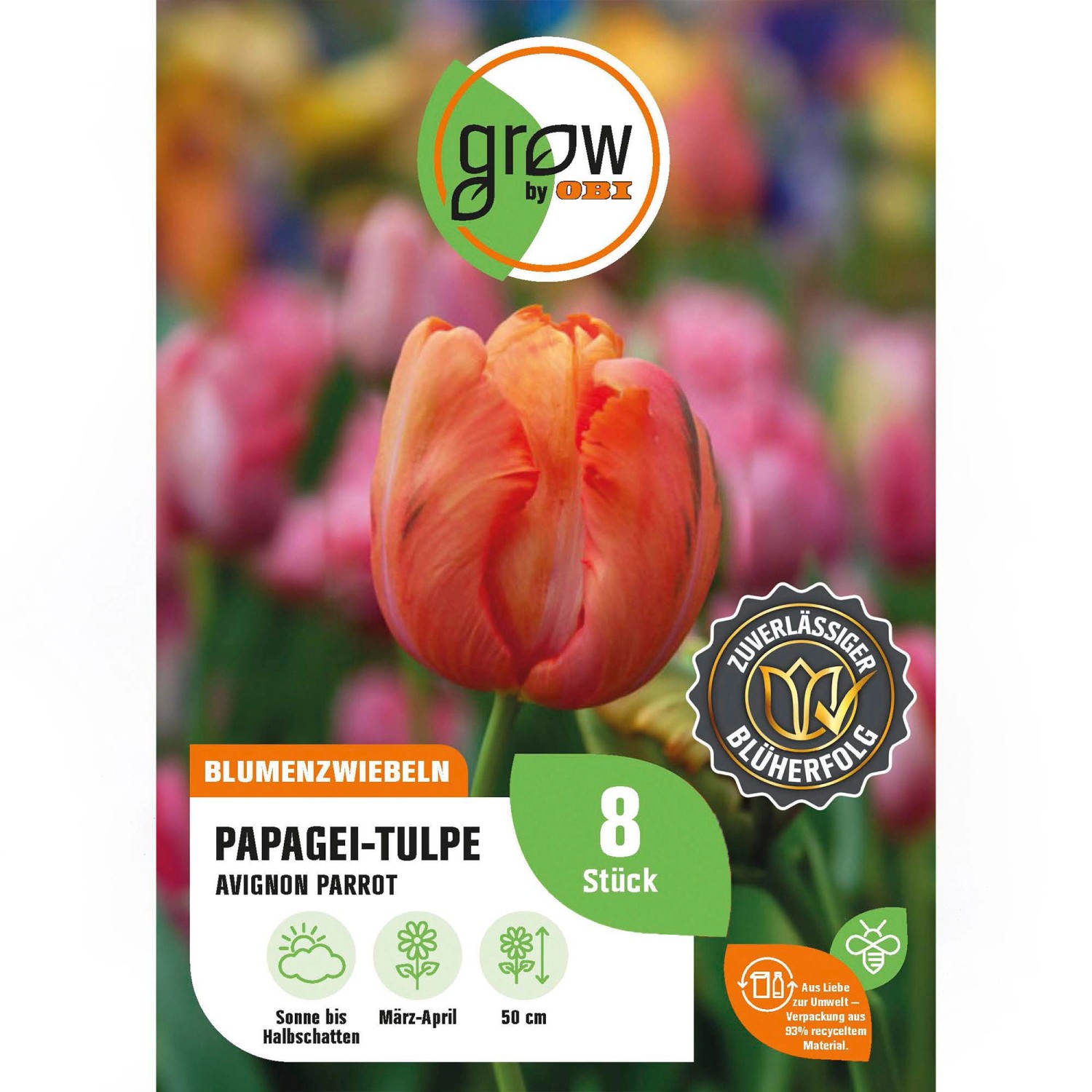 GROW by OBI Papagei-Tulpe Avignon Parrot Rot 8 Stück Tulipa parrot GROW by OBI Papagei-Tulpe Avignon Parrot Rot 8 Stück Tulipa parrot von GROW by OBI