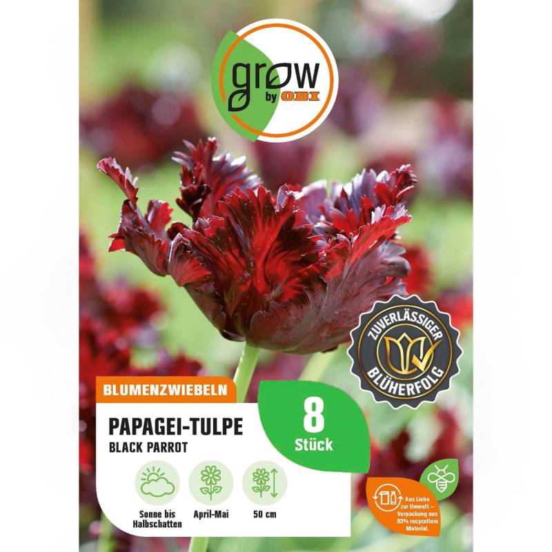GROW by OBI Papagei-Tulpe Black Parrot 8 Stück Tulipa parrot BlackParrot von GROW by OBI
