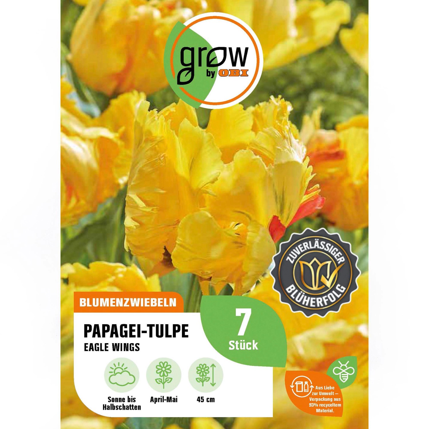 GROW by OBI Papagei-Tulpe Eagle Wings Gelb 7 Stück Tulipa parrot Eagle Wings GROW by OBI Papagei-Tulpe Eagle Wings Gelb 7 Stück Tulipa parrot Eagle Wings von GROW by OBI