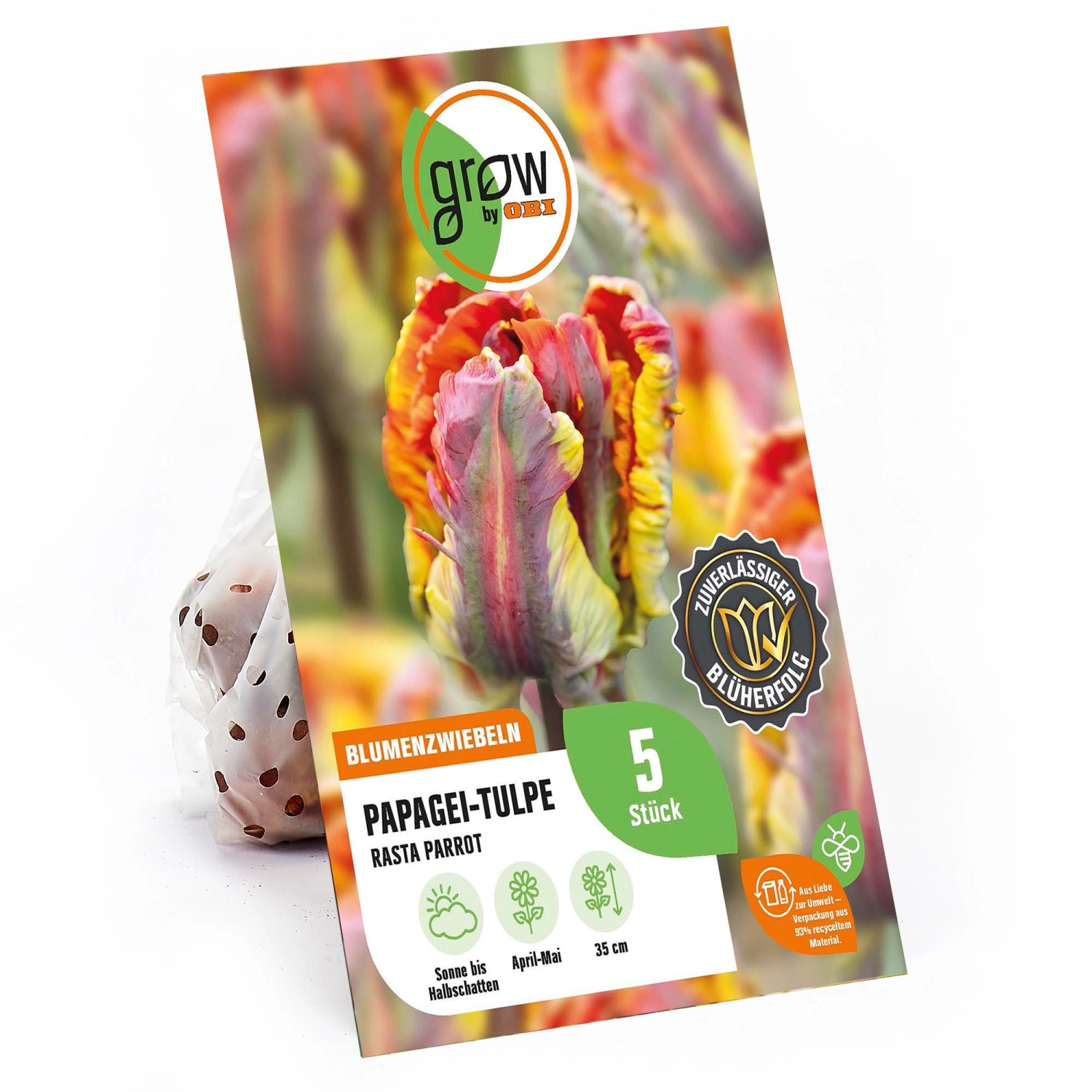 GROW by OBI Papagei-Tulpe Rasta Parrot Rot-Gelb 5 Stück Tulipa parrot GROW by OBI Papagei-Tulpe Rasta Parrot Rot-Gelb 5 Stück Tulipa parrot von GROW by OBI