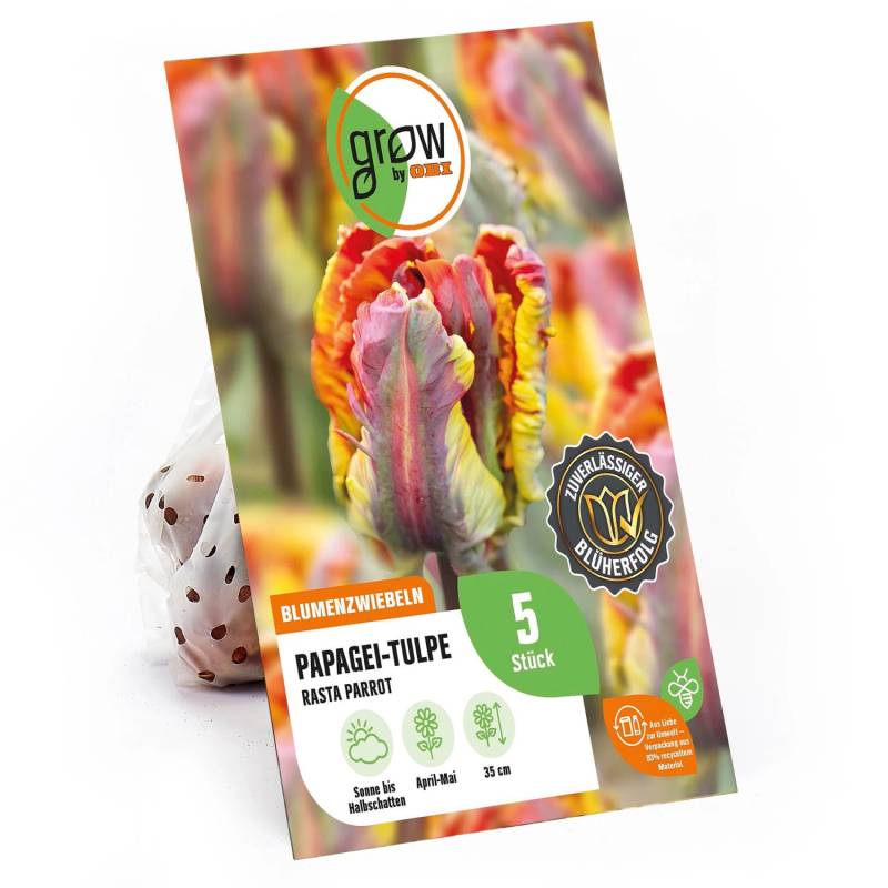 GROW by OBI Papagei-Tulpe Rasta Parrot Rot-Gelb 5 Stück Tulipa parrot von GROW by OBI