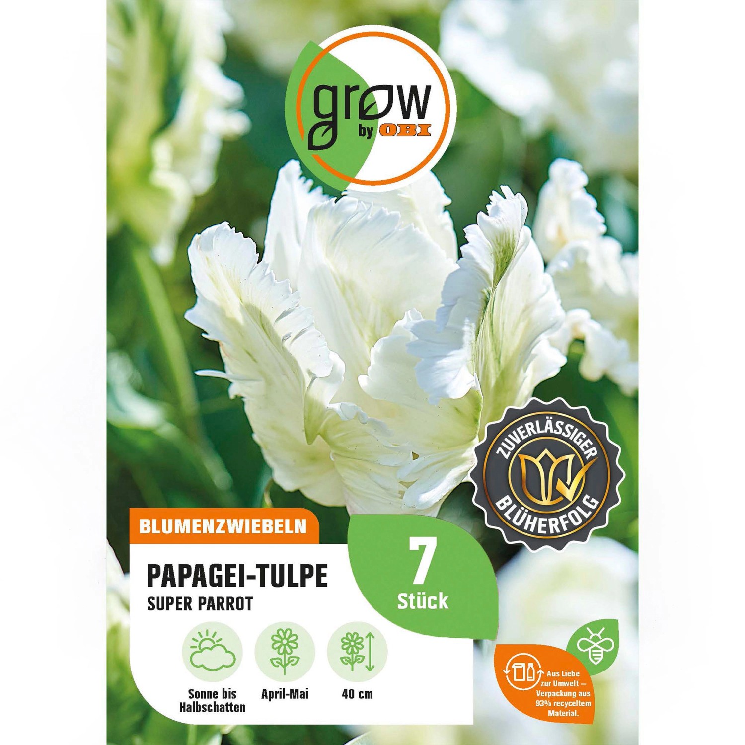GROW by OBI Papagei-Tulpe Super Parrot Weiß 7 Stück Tulipa parrot Super Parrot GROW by OBI Papagei-Tulpe Super Parrot Weiß 7 Stück Tulipa parrot Super Parrot von GROW by OBI