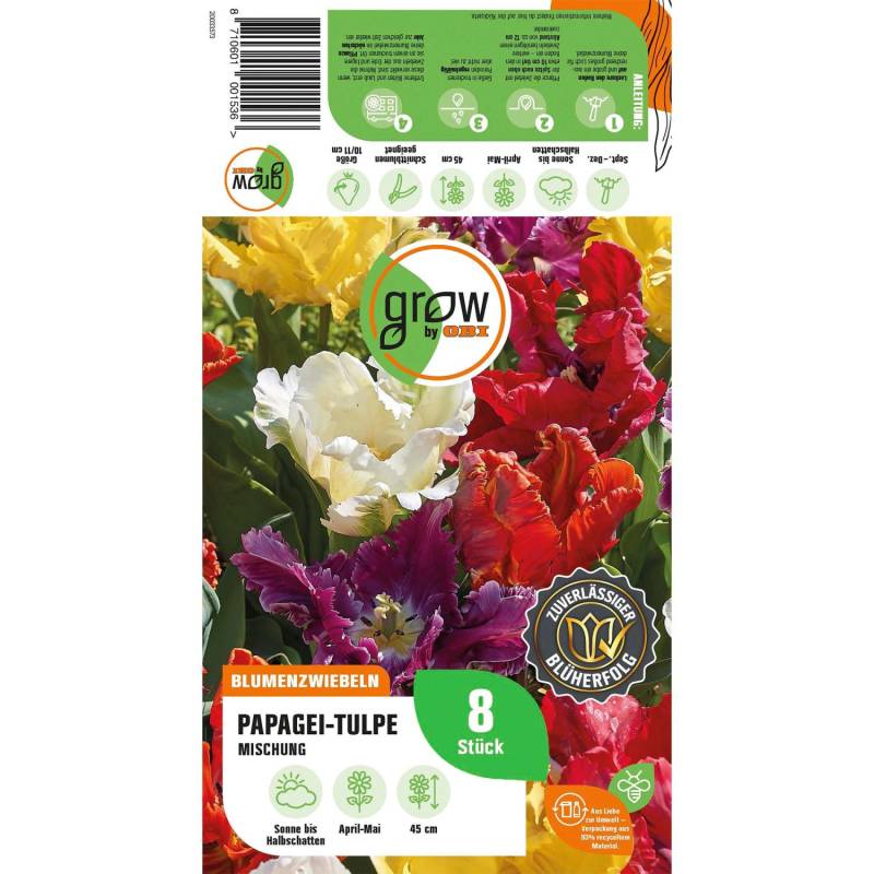 GROW by OBI Papagei-Tulpen Papegei Mischung 8 Stück Tulipa parrot Mixed GROW by OBI Papagei-Tulpen Papegei Mischung 8 Stück Tulipa parrot Mixed von GROW by OBI