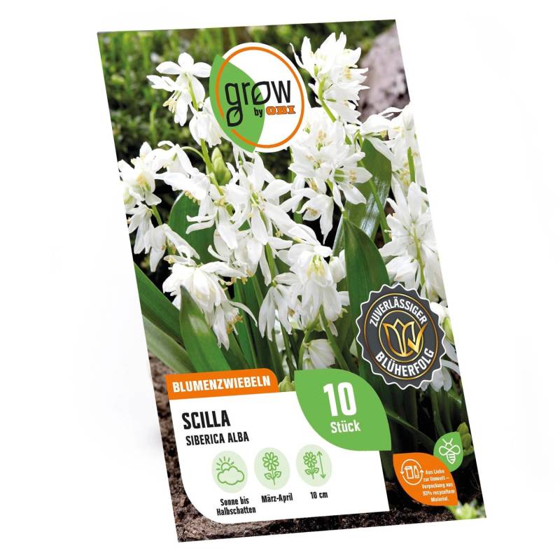 GROW by OBI Sibirischer Blaustern Alba Weiß 10 Stück Scilla siberica Alba von GROW by OBI