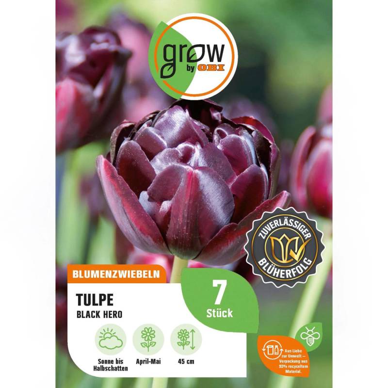 GROW by OBI Tulpe Black Hero Lila 7 Stück Tulipa double late Black Hero von GROW by OBI