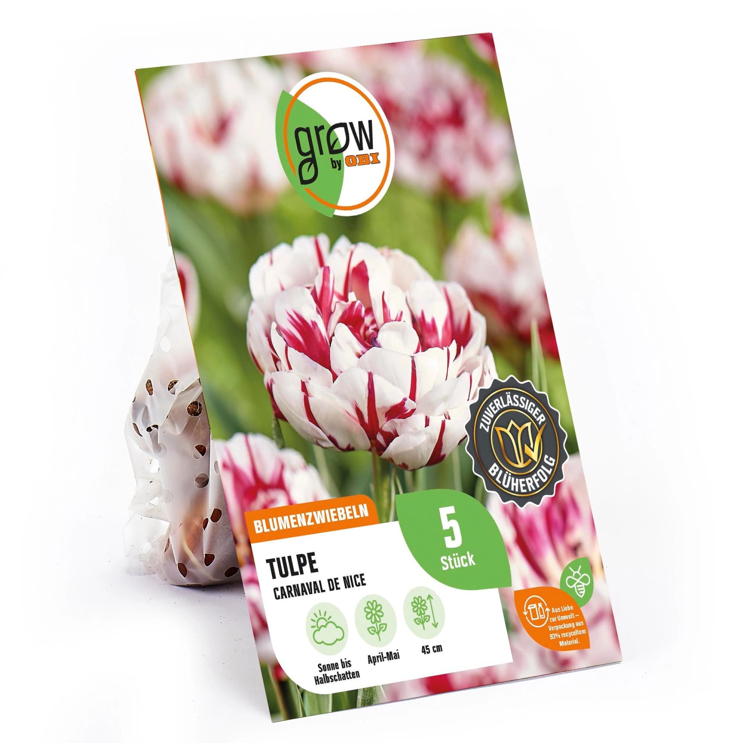 GROW by OBI Tulpe Carnavalde Nice Rot-Weiß 5 Stück Tulipa double late Carnaval GROW by OBI Tulpe Carnavalde Nice Rot-Weiß 5 Stück Tulipa double late Carnaval von GROW by OBI